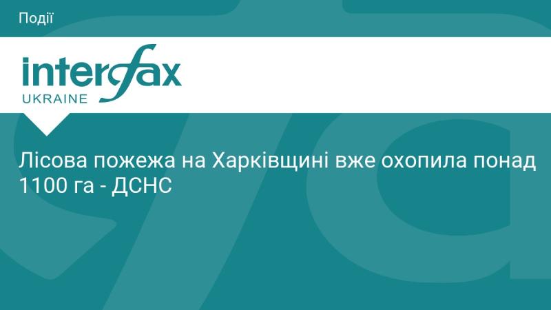 Лісова пожежа в Харківській області вже вражає понад 1100 гектарів території, повідомляє Державна служба з надзвичайних ситуацій.