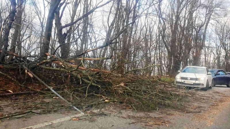 У Дніпрі через несприятливі погодні умови відбуваються випадки падіння банерів та дерев на автомобілі (ВІДЕО)