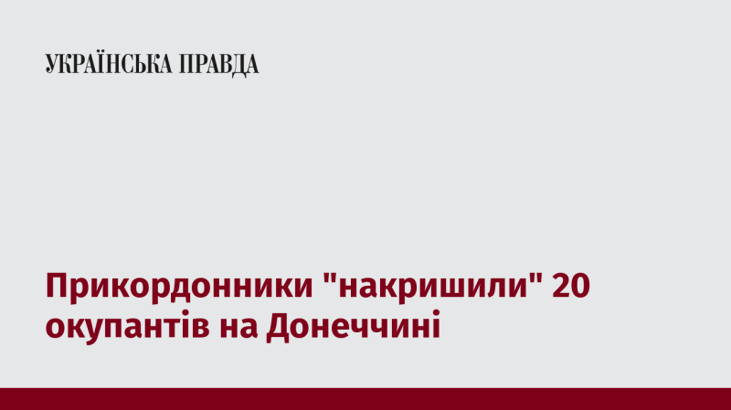 Прикордонники затримали 20 ворогів на Донеччині.