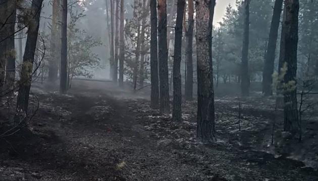 На Миколаївщині вже другий день поспіль триває пожежа в лісовому масиві.