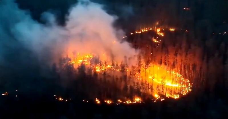 Знищує великі площі за один раз: у Збройних силах України продемонстрували ефективність нового дрона-дракона (відео)