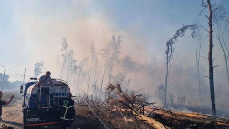 Гасіння лісових пожеж: в обласній військовій адміністрації повідомляють про контрольованість ситуації.