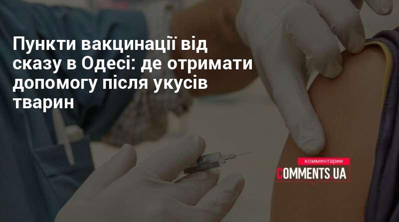 Місця для вакцинації проти сказу в Одесі: куди звертатися за допомогою після укусів тварин.